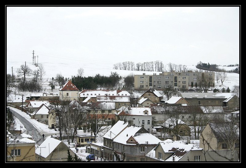 Zvoleněves objektivem Františka Škvrny